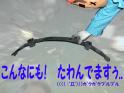 Yt摜